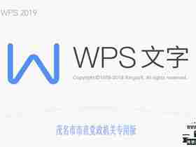 WPS Office 2019 专业版（政府版，已激活）-11.8.2.8053、wps破解版、wps去广告